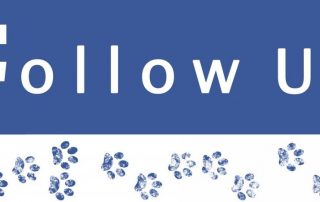 Follow us