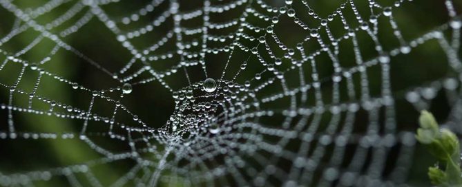belang-linkbuilding